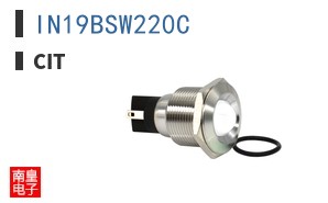 IN19BSW220C
