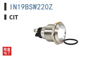 IN19BSW220Z