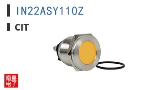IN22ASY110Z