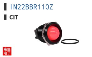 IN22BBR110Z