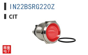 IN22BSRG220Z