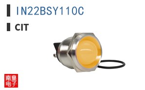 IN22BSY110C