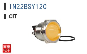 IN22BSY12C