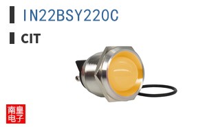 IN22BSY220C