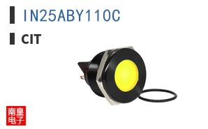 IN25ABY110C