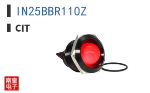 IN25BBR110Z