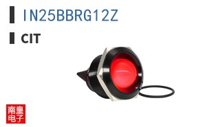 IN25BBRG12Z