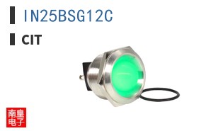 IN25BSG12C