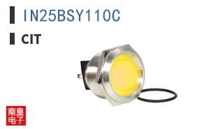 IN25BSY110C