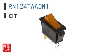 RN124TAACN1