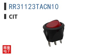 RR31123TACN10