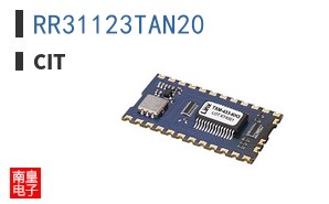 RR31123TAN20