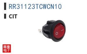RR31123TCWCN10