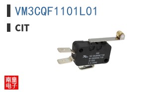 VM3CQF1101L01