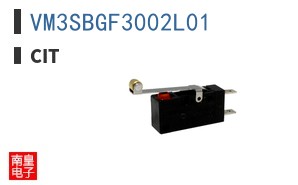 VM3SBGF3002L01