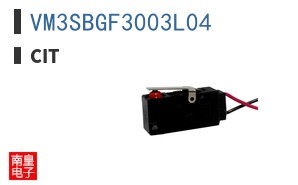 VM3SBGF3003L04