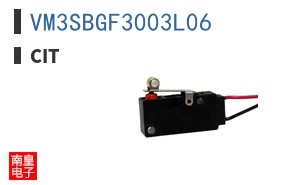 VM3SBGF3003L06