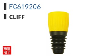 FC619206