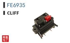 FE6935