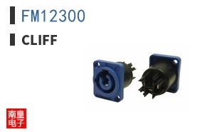 FM12300