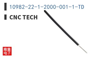 10982-22-1-2000-001-1-TD