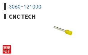 3060-12100G