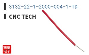 3132-22-1-2000-004-1-TD