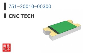 751-20010-00300