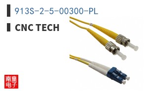 913S-2-5-00300-PL