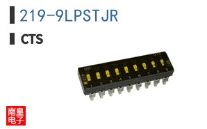 219-9LPSTJR