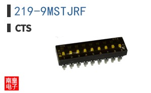 219-9MSTJRF