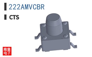 222AMVCBR