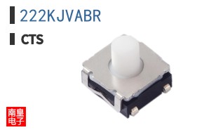 222KJVABR