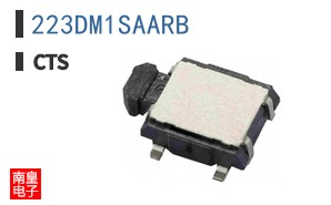 223DM1SAARB
