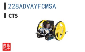 228ADVAYFCMSA