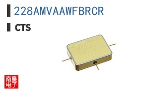 228AMVAAWFBRCR
