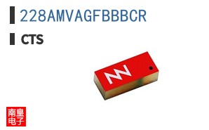 228AMVAGFBBBCR