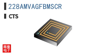 228AMVAGFBMSCR