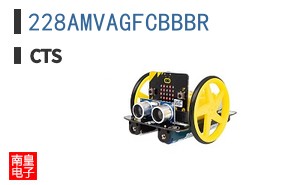 228AMVAGFCBBBR