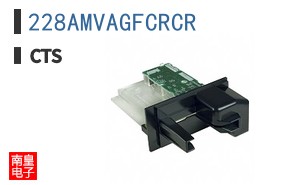 228AMVAGFCRCR