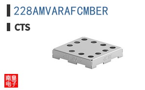 228AMVARAFCMBER