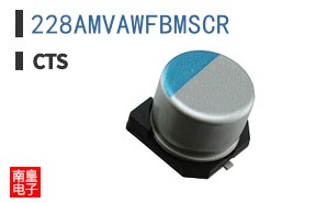 228AMVAWFBMSCR