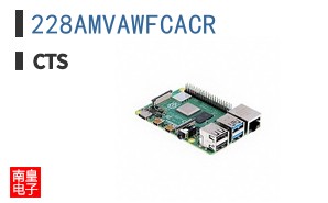 228AMVAWFCACR