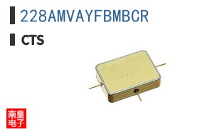 228AMVAYFBMBCR