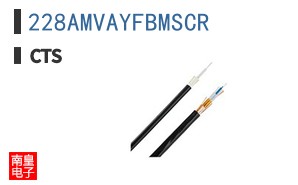 228AMVAYFBMSCR