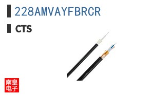228AMVAYFBRCR
