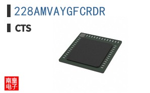 228AMVAYGFCRDR