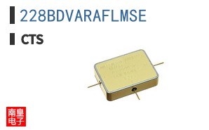 228BDVARAFLMSE