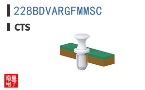 228BDVARGFMMSC