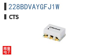 228BDVAYGFJ1W